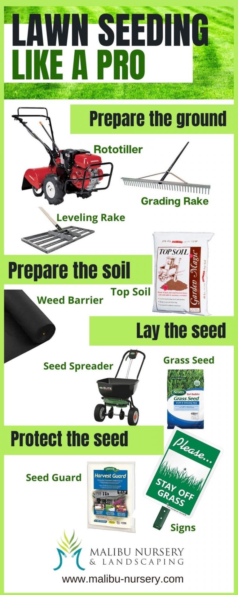 Sod vs Seed 6 Healthy New Lawn Tips
