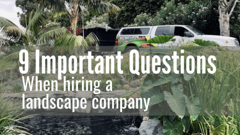 Hiring A Landscape Maintenance Company In Malibu, CA: 9 Most Important Questions