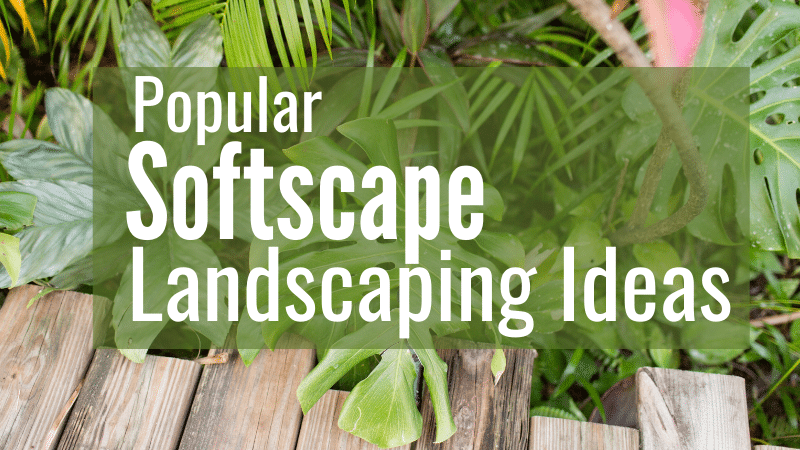 softscape landscaping ideas