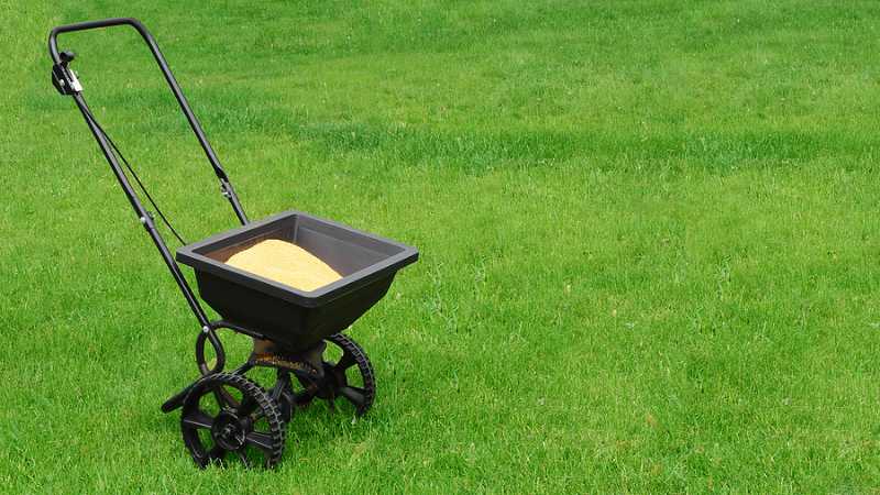 lawn ferilizing services