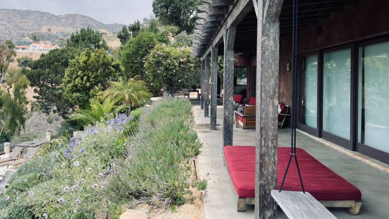 drought tolerant landscape