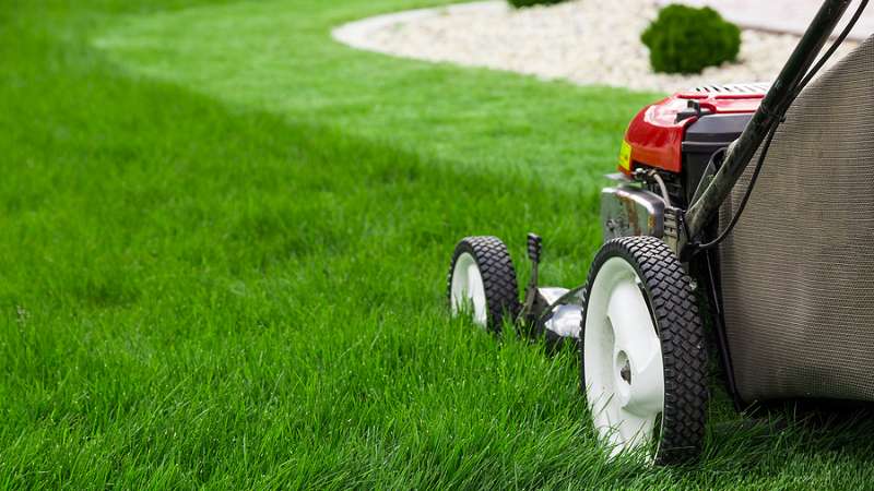 lawn mowing services