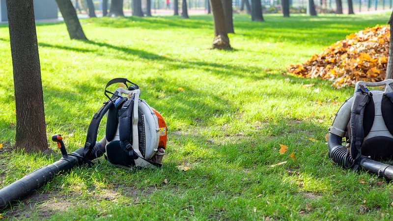 leaf removal services