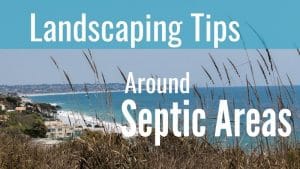 landscaping ideas around septic tank areas