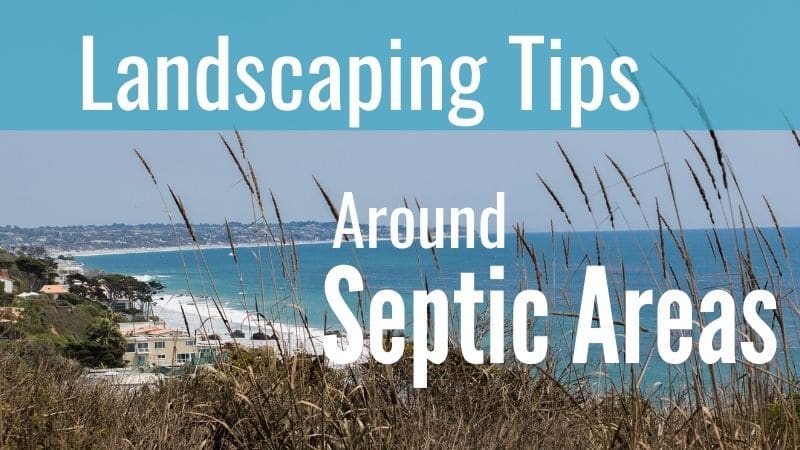 landscaping ideas around septic tank areas