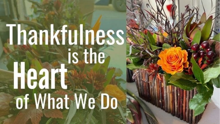 Thankfulness is the Heart of What We Do at Malibu Nursery and Landscaping