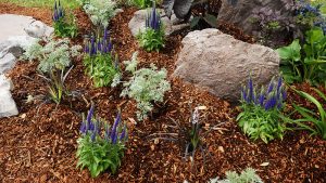 Mulch Installation Tips